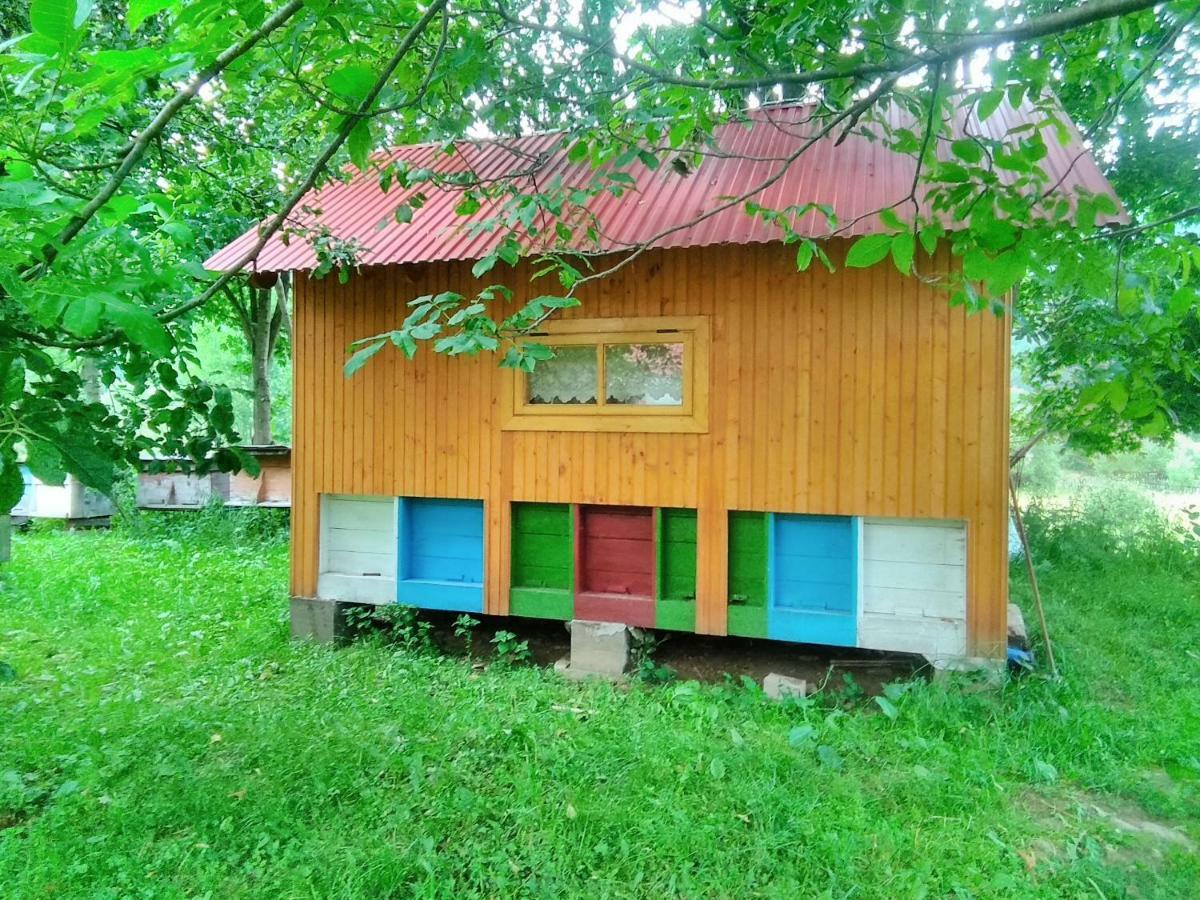 Відпочинок У Карпатах, Мінеральні Ванни, Банний Чан! Guest House Verkhnyaya Bystra Exterior photo